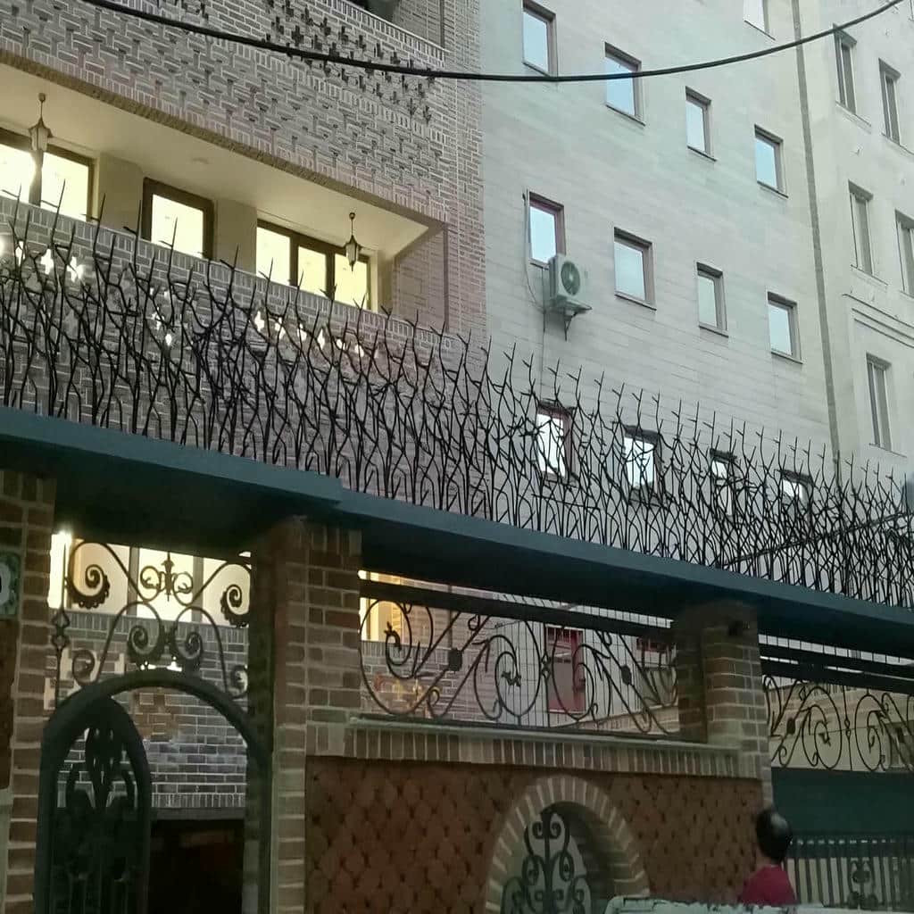 حفاظ شاخ گوزنی در سیرجان