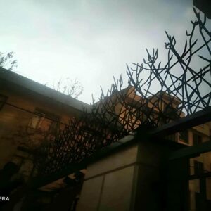 حفاظ شاخ گوزنی در نسیم شهر
