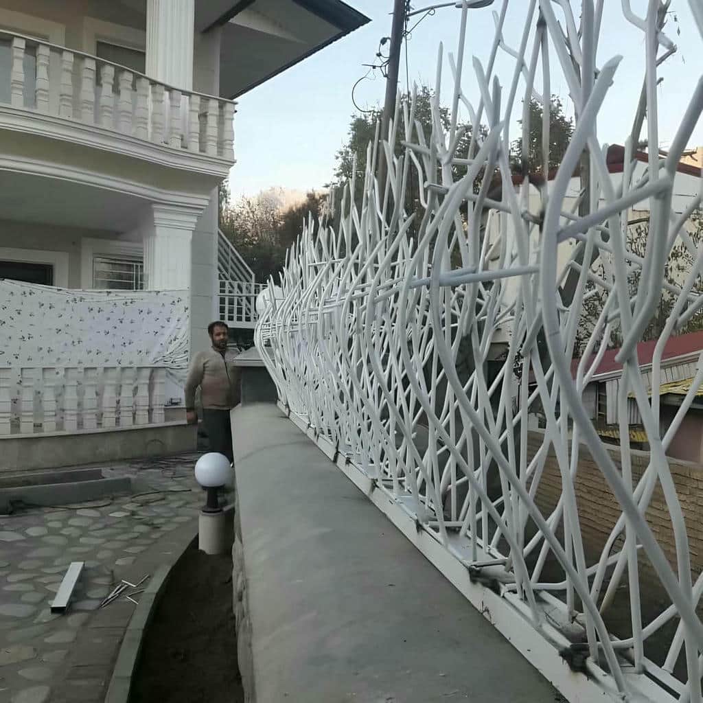 حفاظ شاخ گوزنی در قائمشهر