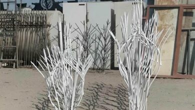 حفاظ شاخ گوزنی در رفسنجان