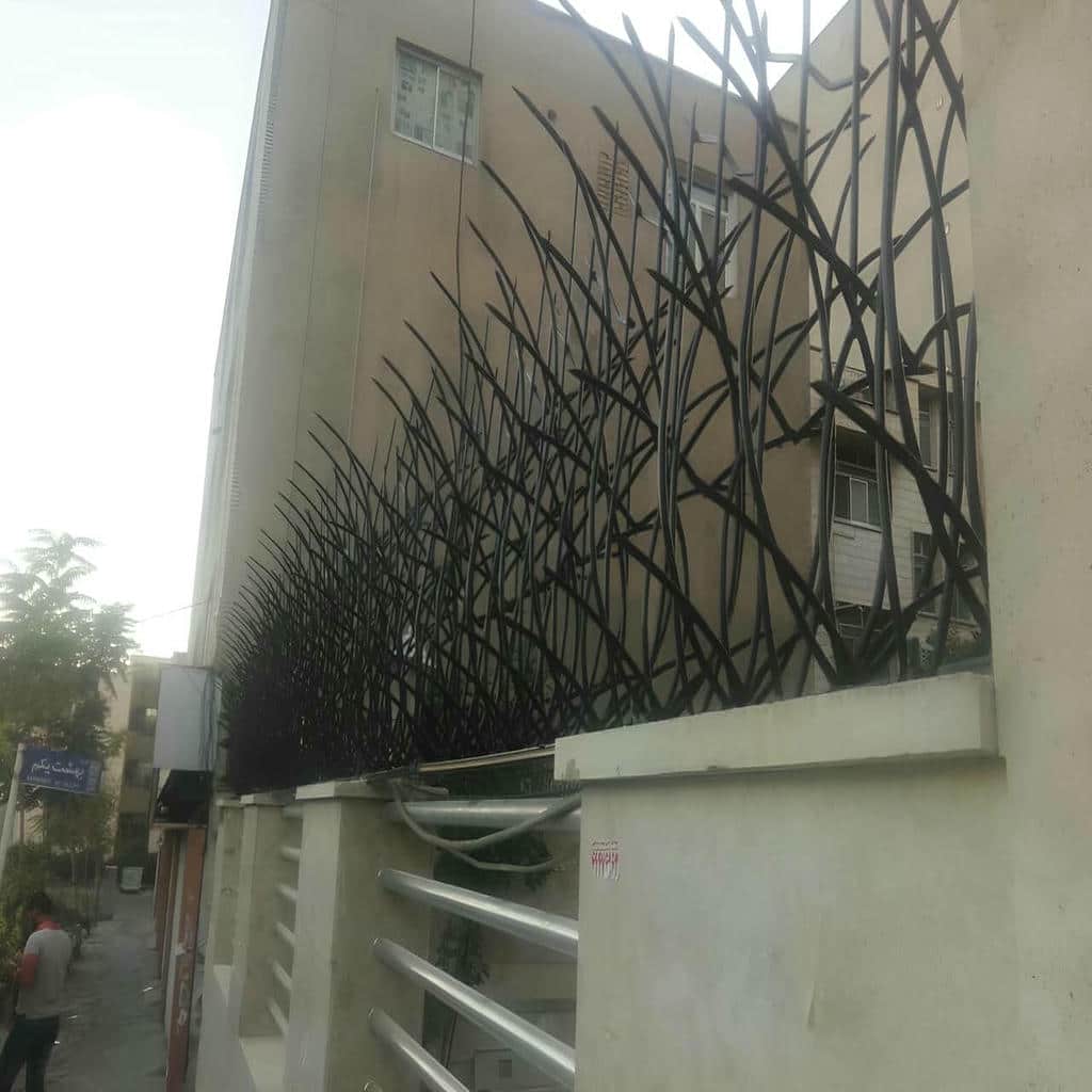 حفاظ شاخ گوزنی در زاهدان حفاظ شاخ گوزنی در زاهدان
