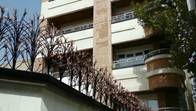 حفاظ شاخ گوزنی در نظرآباد