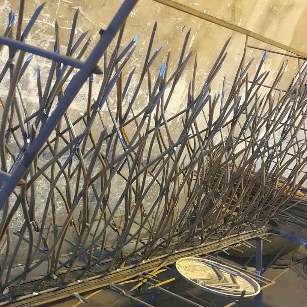 حفاظ شاخ گوزنی در همدان - تصویر 4