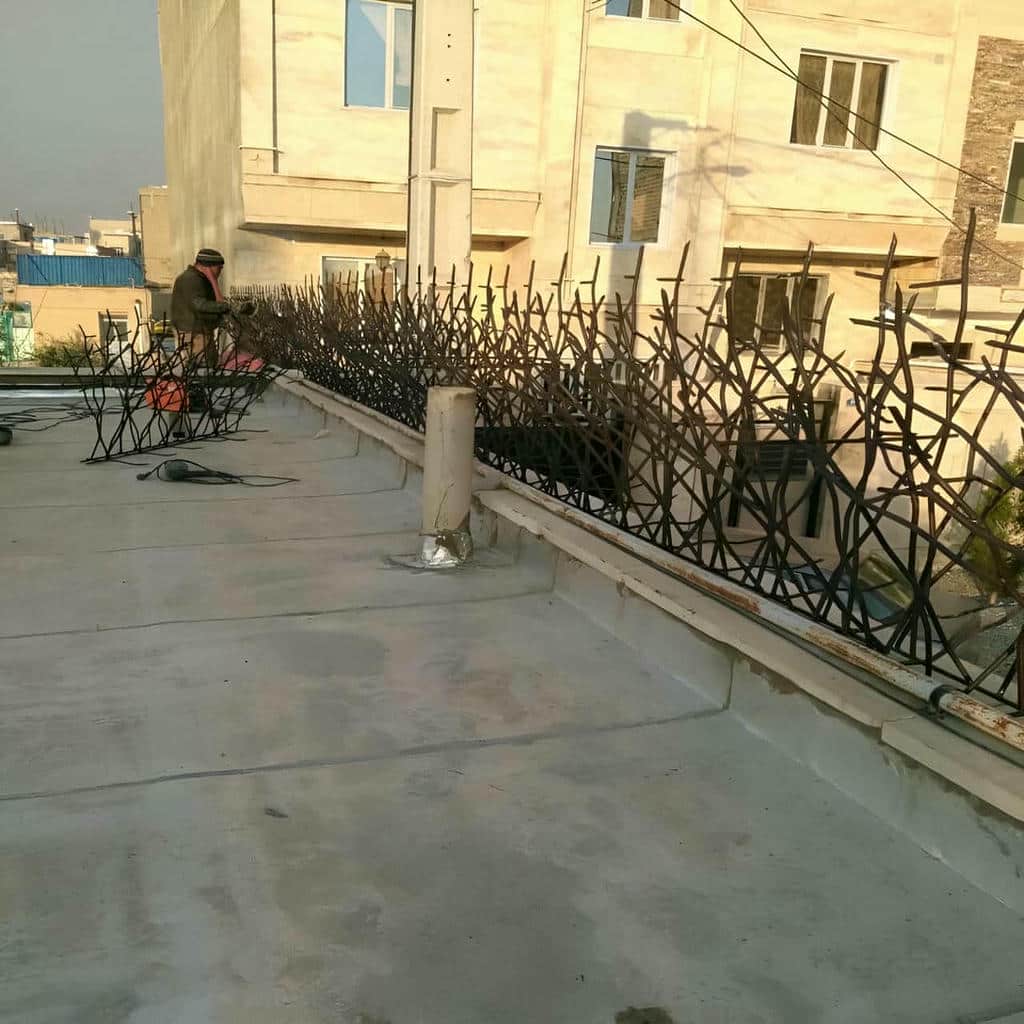 حفاظ شاخ گوزنی در اردبیل