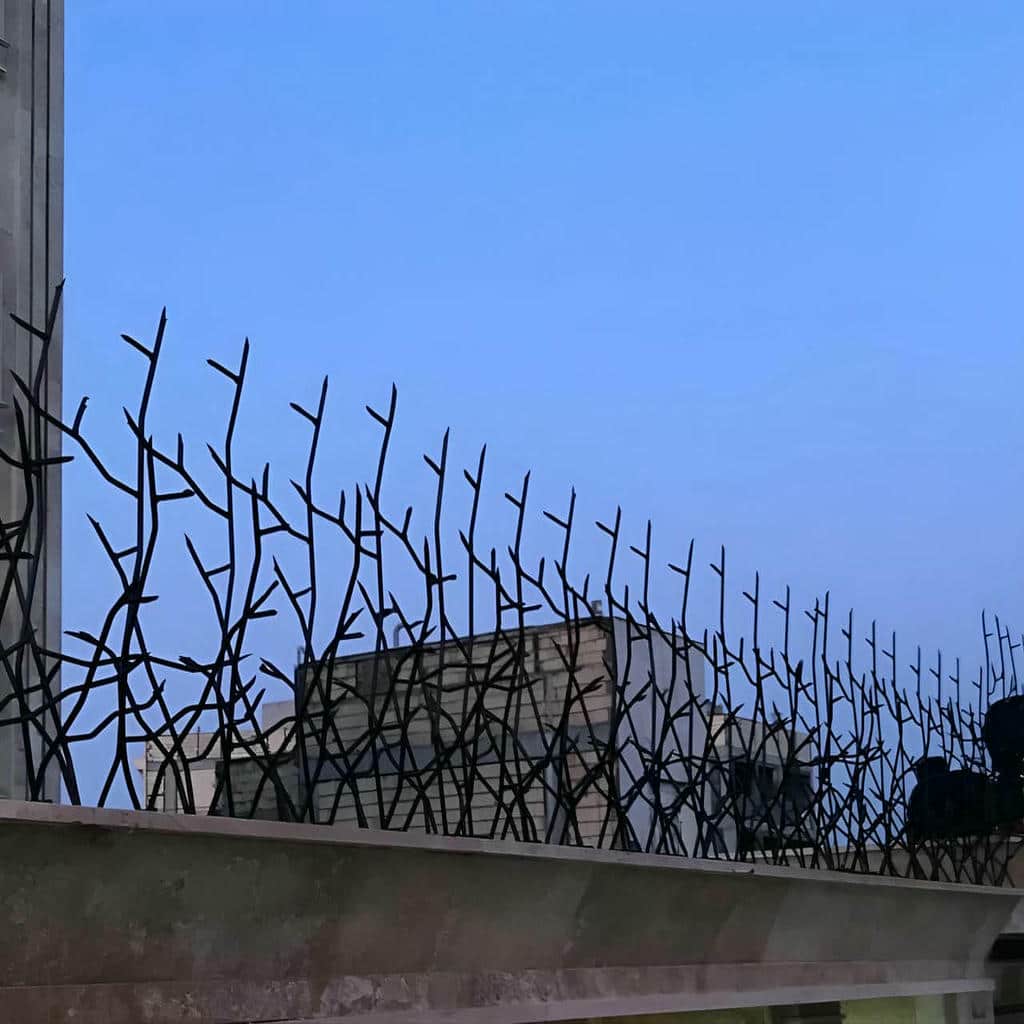 حفاظ شاخ گوزنی در کاشان - تصویر 3