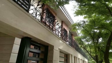 حفاظ شاخ گوزنی در قائمشهر