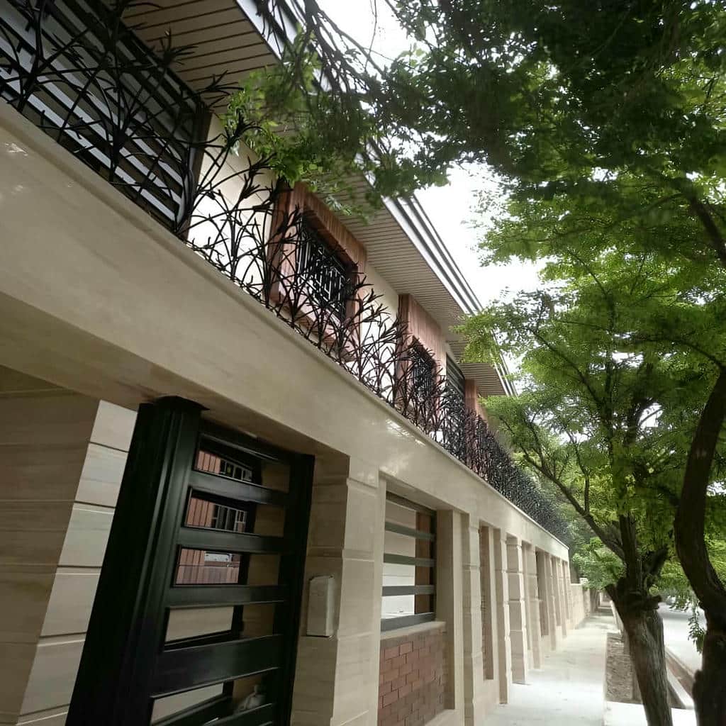 حفاظ شاخ گوزنی در قائمشهر