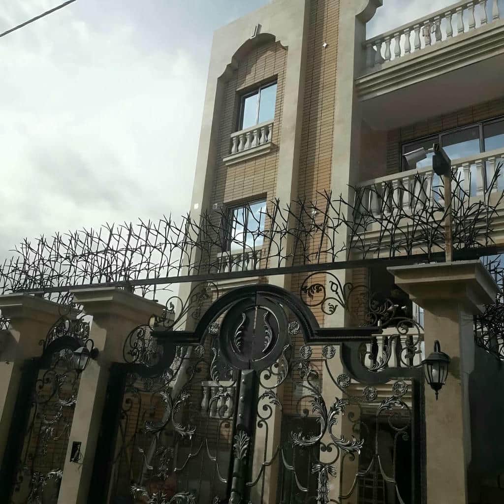 حفاظ شاخ گوزنی در بندر انزلی - تصویر 3