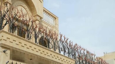 حفاظ شاخ گوزنی در بیرجند