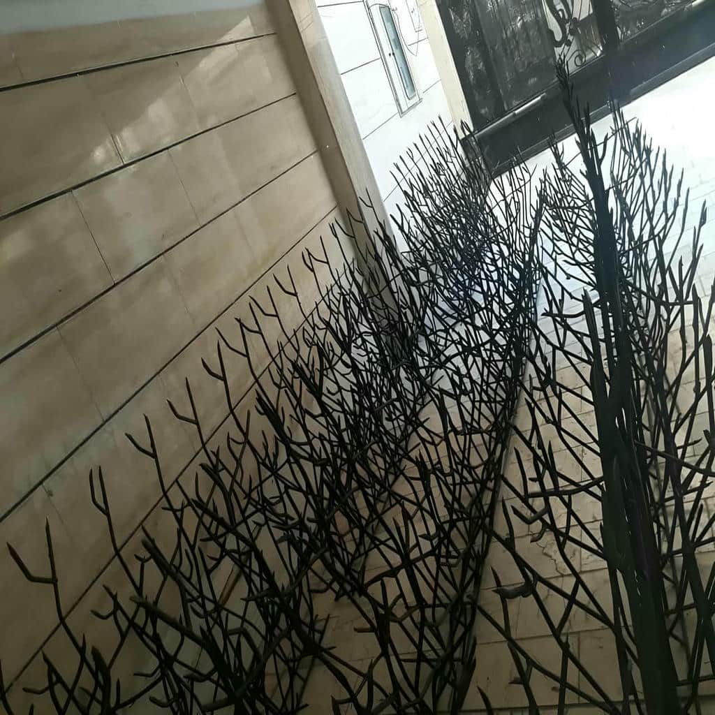 حفاظ شاخ گوزنی در فیروزکوه