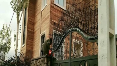 حفاظ شاخ گوزنی در اشتهارد