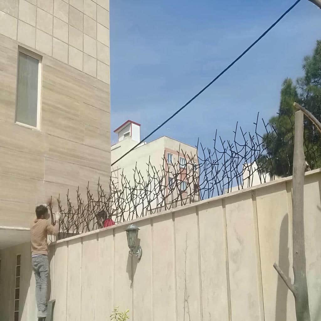 حفاظ شاخ گوزنی در کرج - تصویر 4