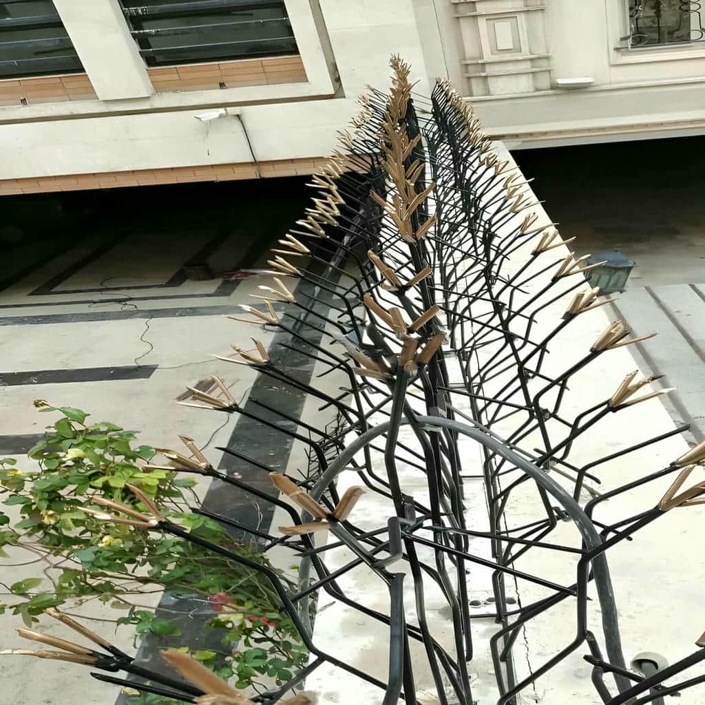 حفاظ شاخ گوزنی در عظیمیه کرج