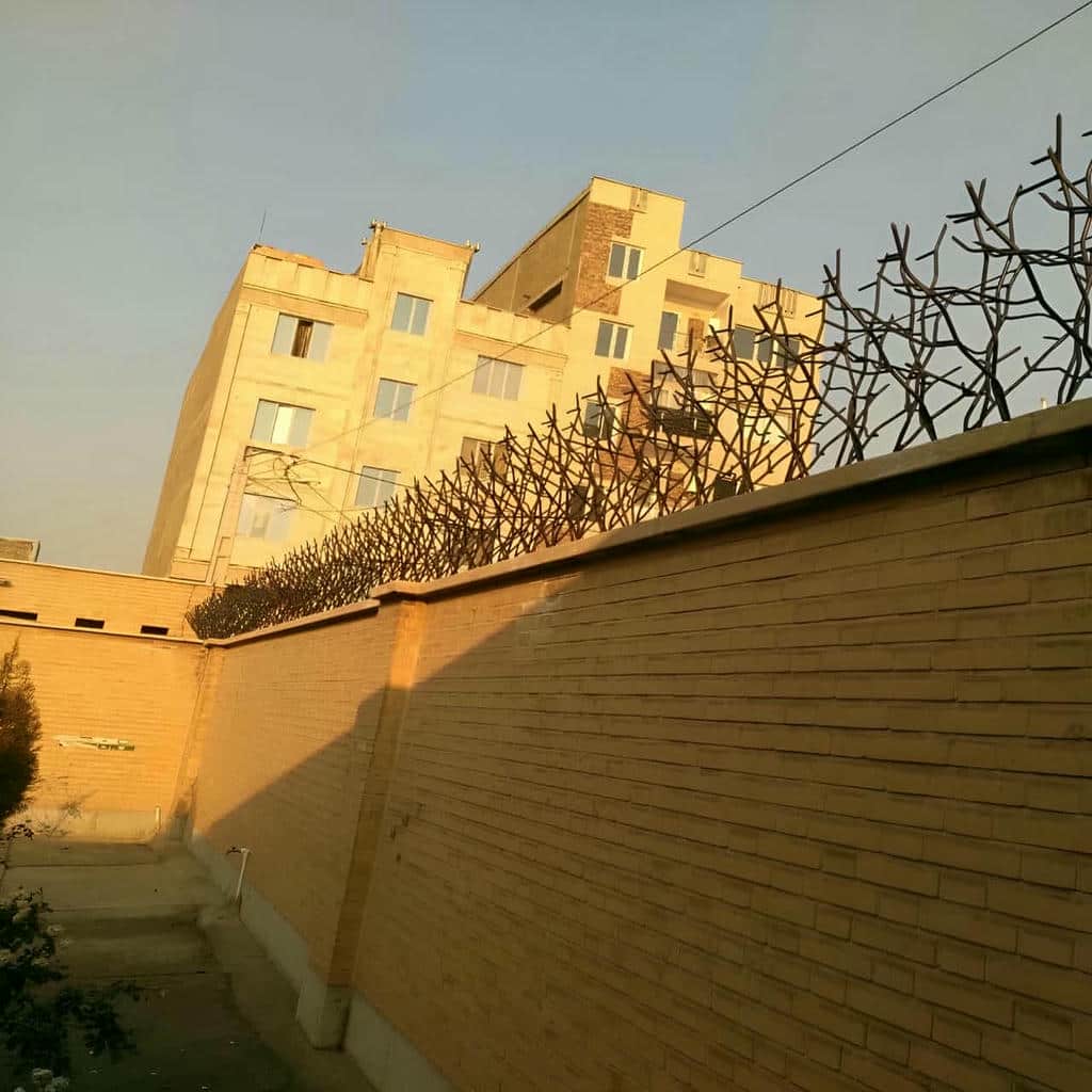 حفاظ شاخ گوزنی در یاسوج - تصویر 2