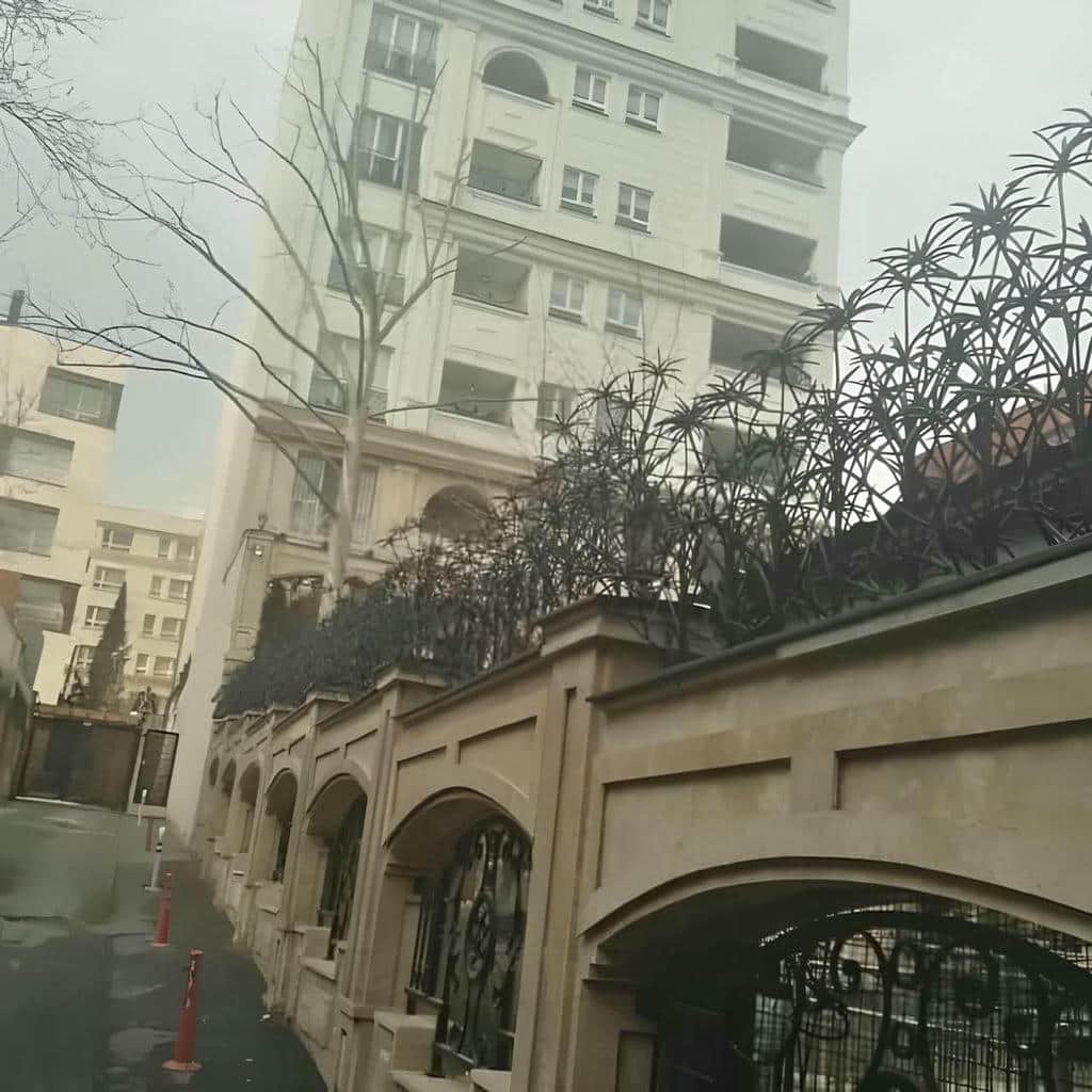 حفاظ شاخ گوزنی در استان خوزستان - تصویر 2