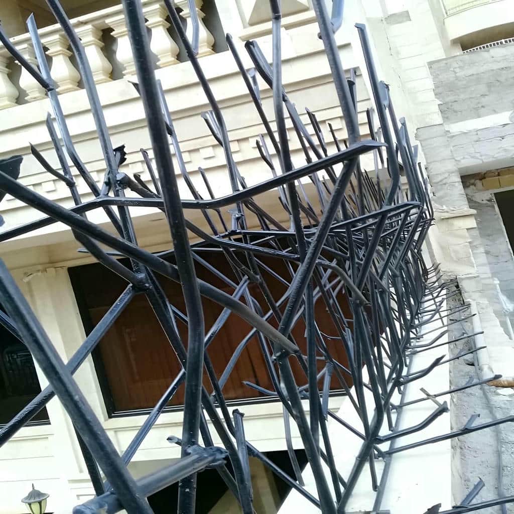 حفاظ شاخ گوزنی در بندرعباس