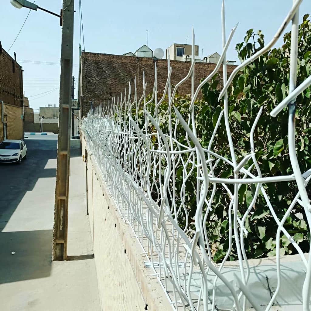 حفاظ شاخ گوزنی در قائمشهر - تصویر 4