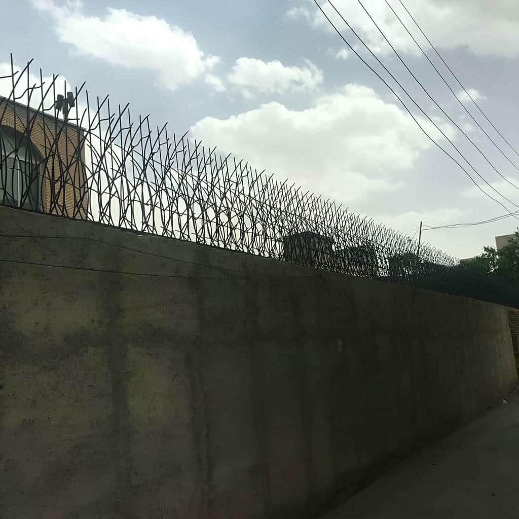 حفاظ شاخ گوزنی در کیش - تصویر 2