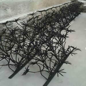 حفاظ شاخ گوزنی در شهریار