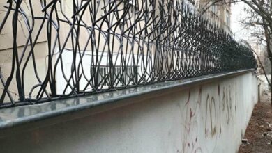 حفاظ شاخ گوزنی در هشتگرد