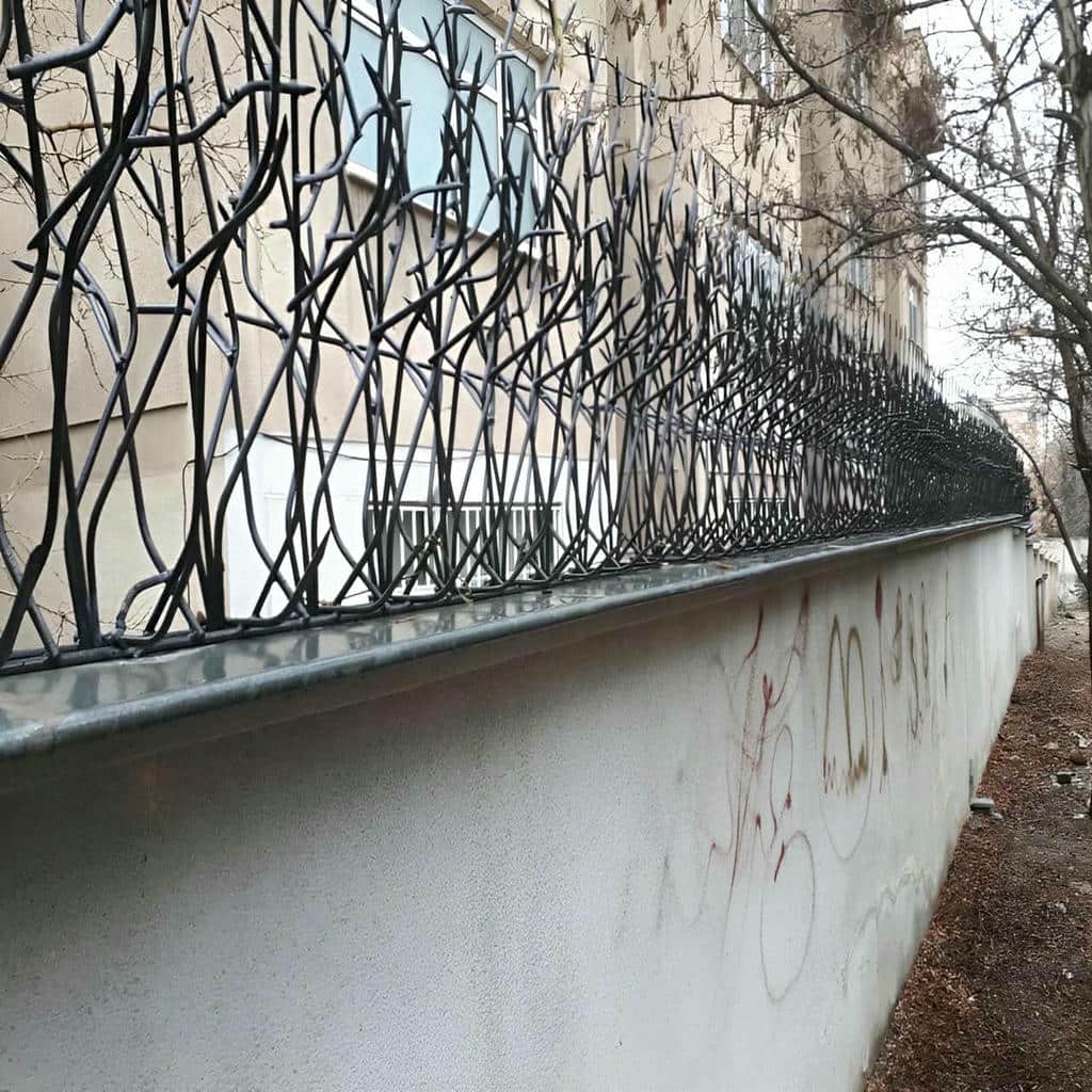 حفاظ شاخ گوزنی در هشتگرد