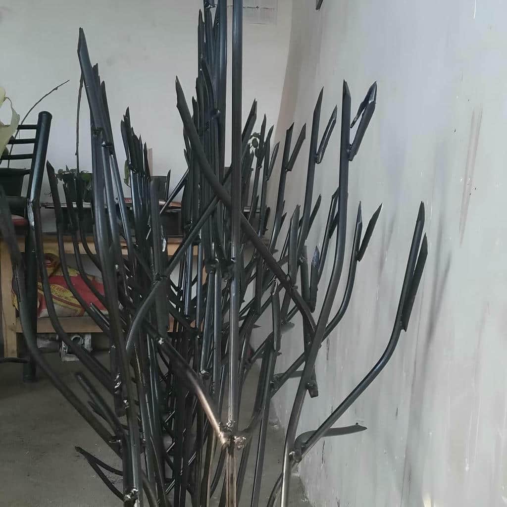 حفاظ شاخ گوزنی در ایرانشهر