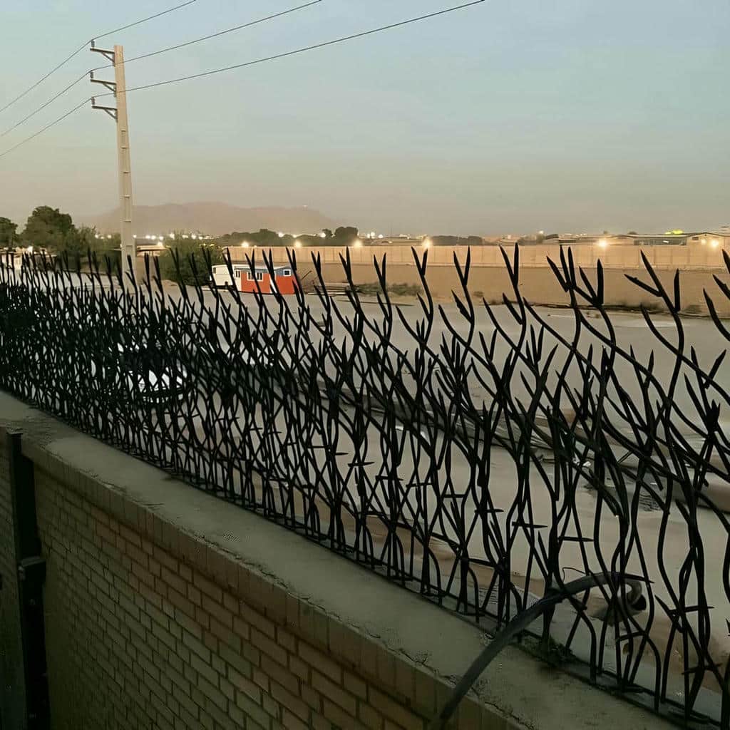 حفاظ شاخ گوزنی در هشتگرد