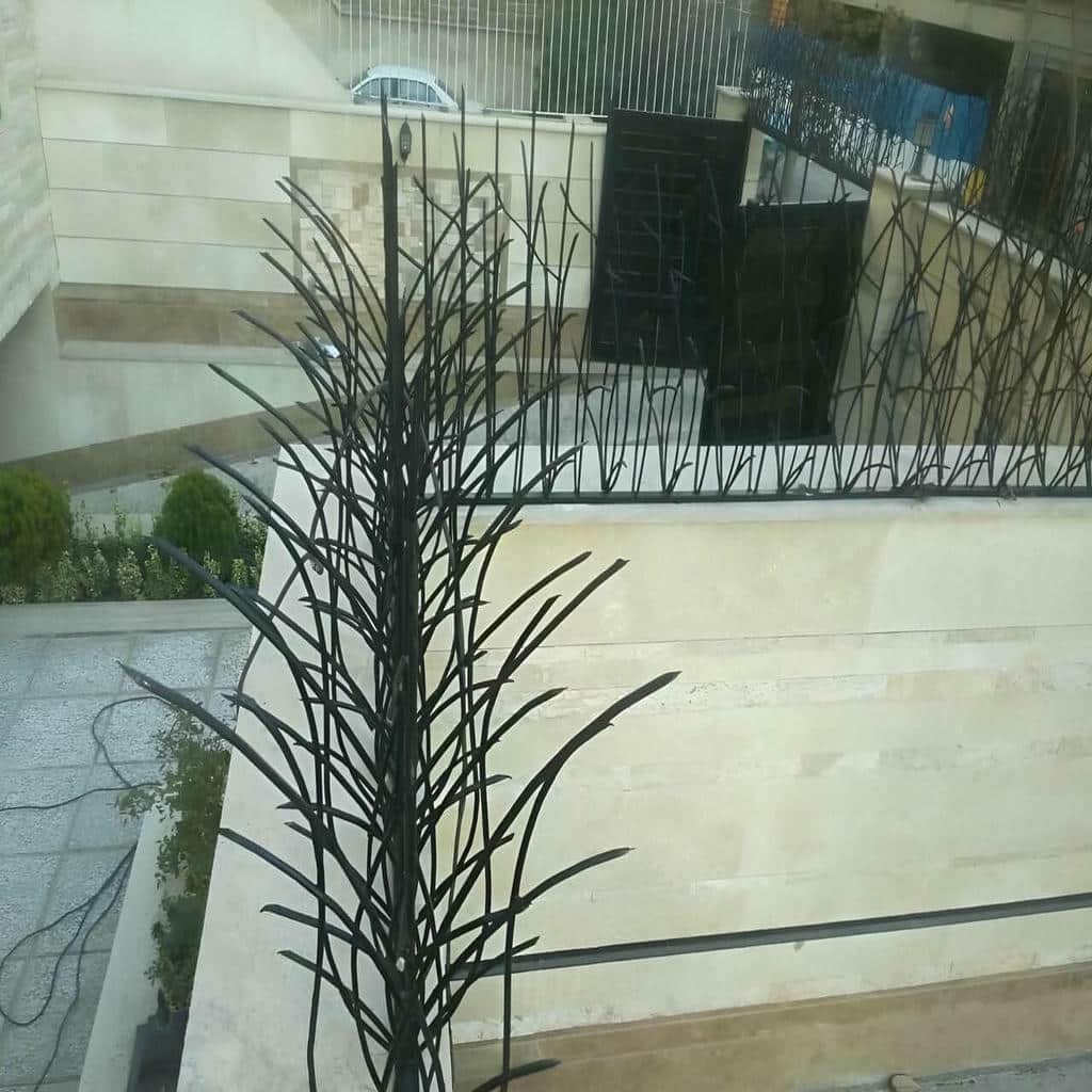 حفاظ شاخ گوزنی در نسیم شهر