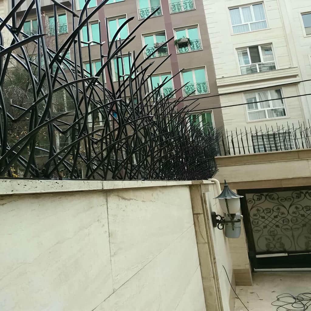 حفاظ شاخ گوزنی در اصفهان