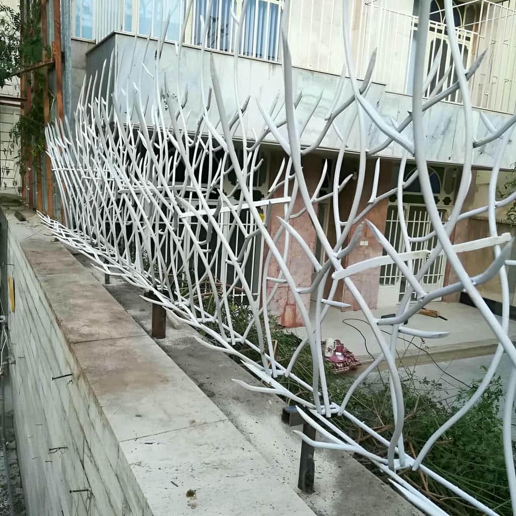 حفاظ شاخ گوزنی در ساوه