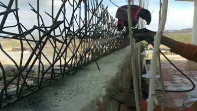 حفاظ شاخ گوزنی در مریوان