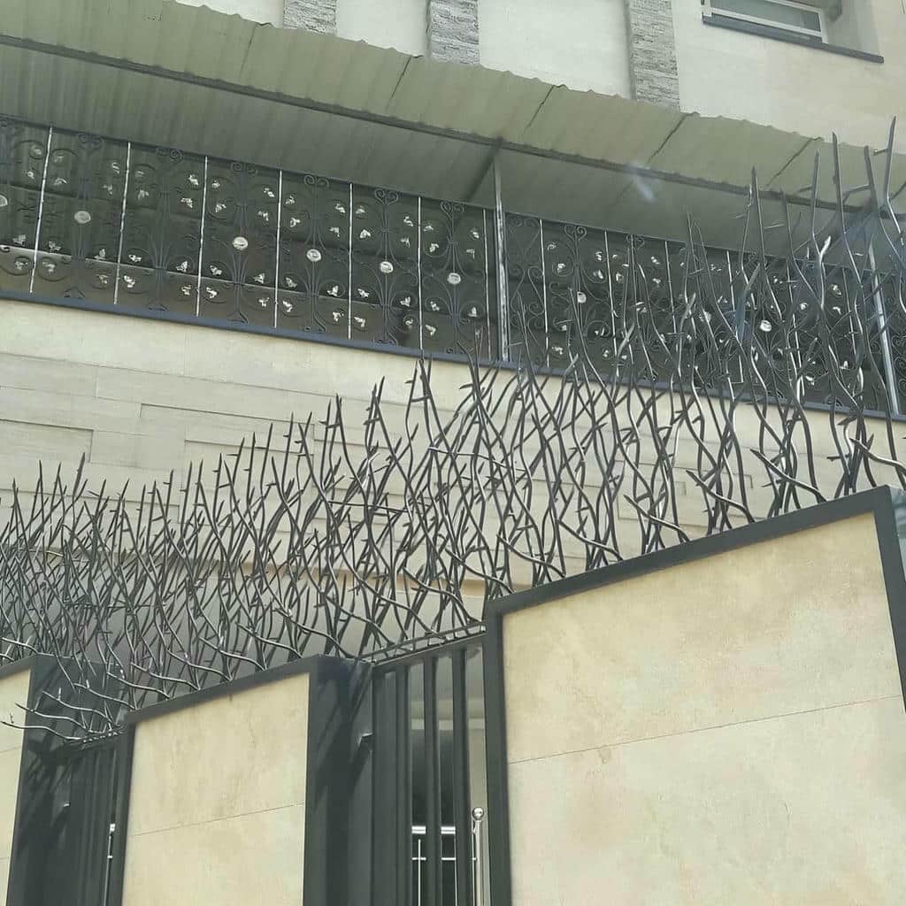 حفاظ شاخ گوزنی در بومهن - تصویر 4