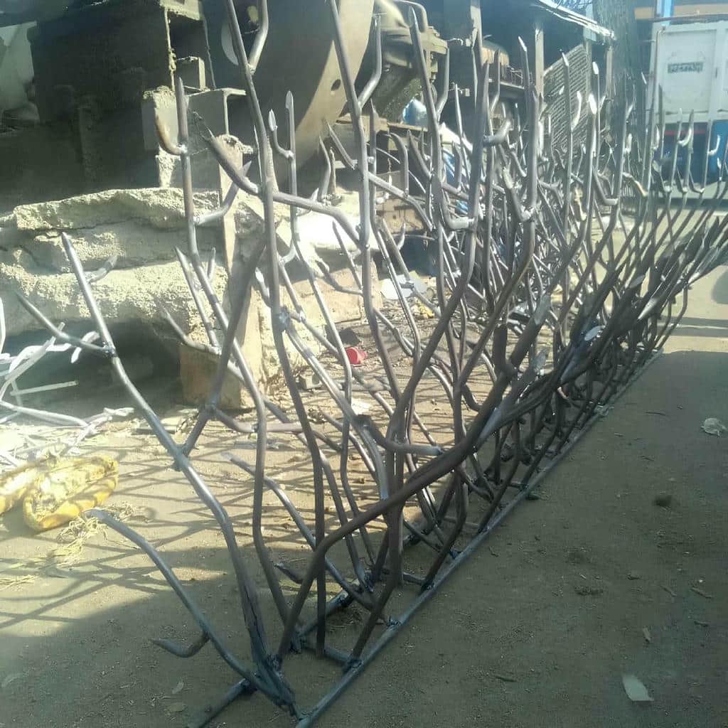 حفاظ شاخ گوزنی در رفسنجان