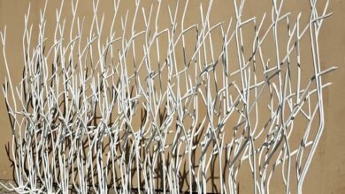 حفاظ شاخ گوزنی در فشم