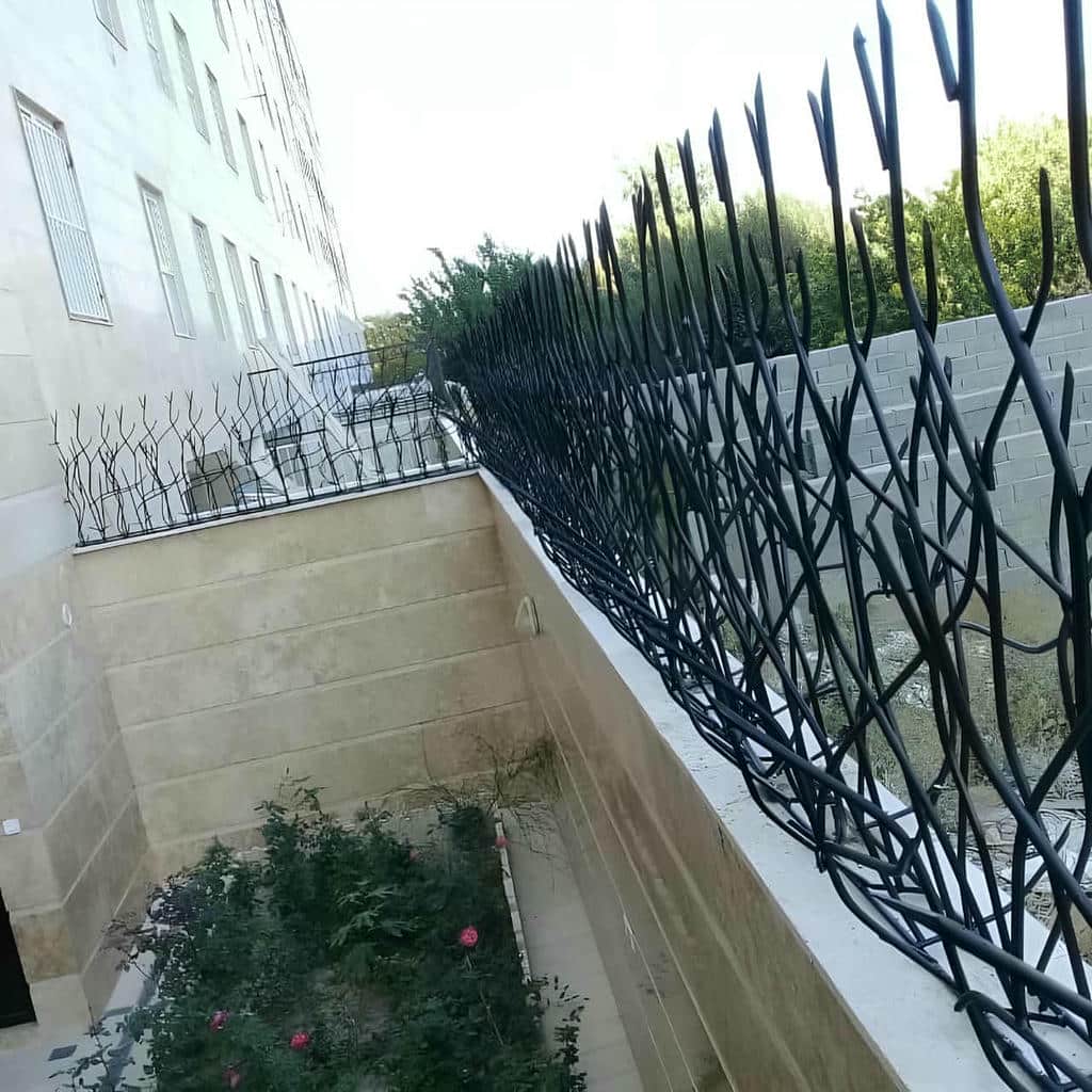 حفاظ شاخ گوزنی در یاسوج
