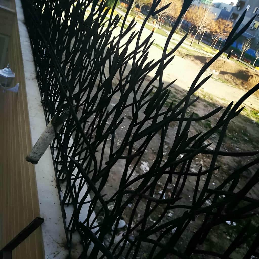 حفاظ شاخ گوزنی در یزد حفاظ شاخ گوزنی در یزد