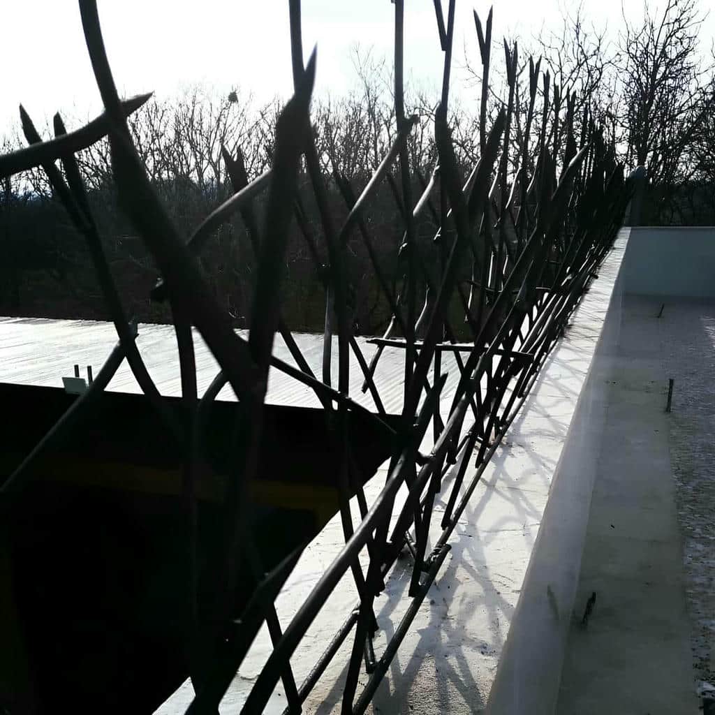 حفاظ شاخ گوزنی در اهواز