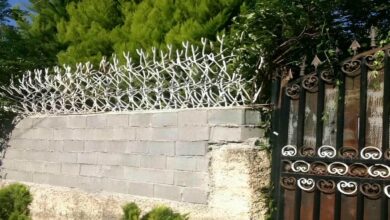 حفاظ شاخ گوزنی در مهرشهر کرج