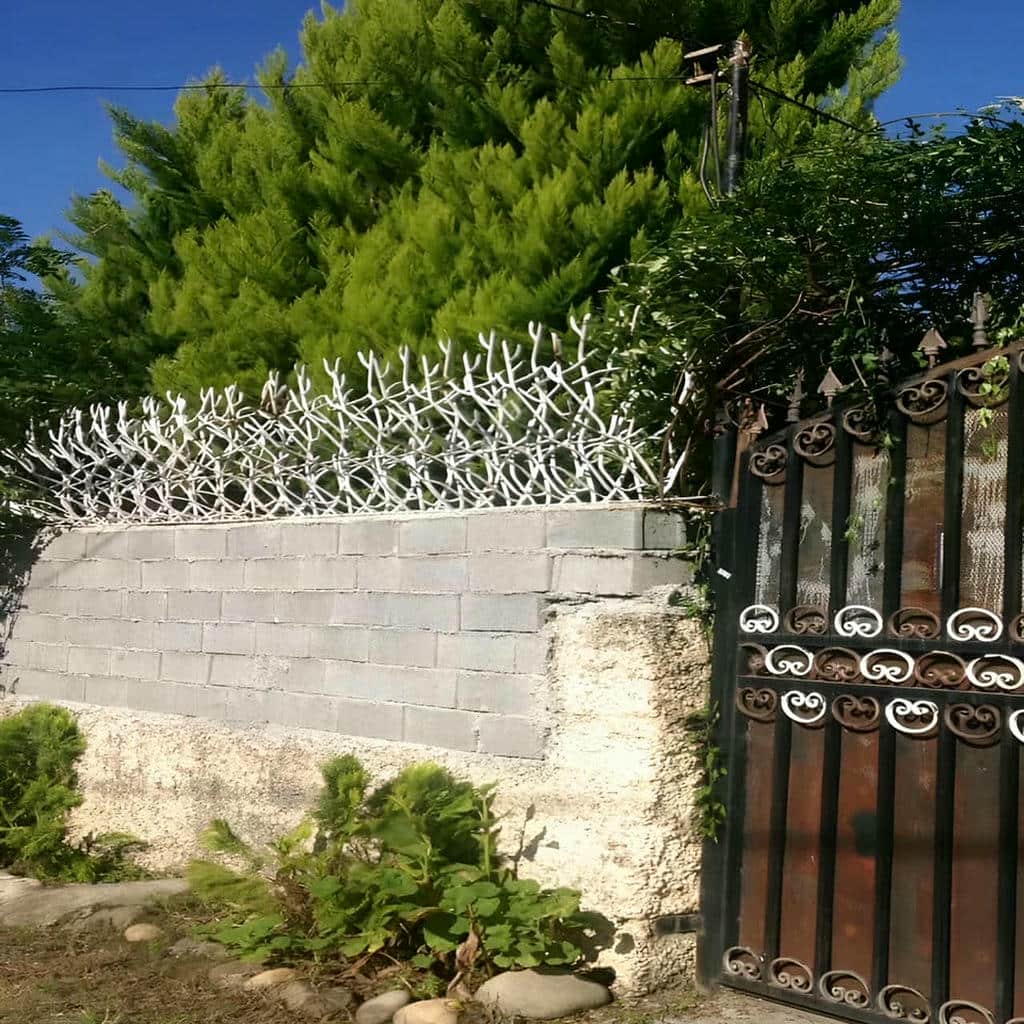 حفاظ شاخ گوزنی در مهرشهر کرج