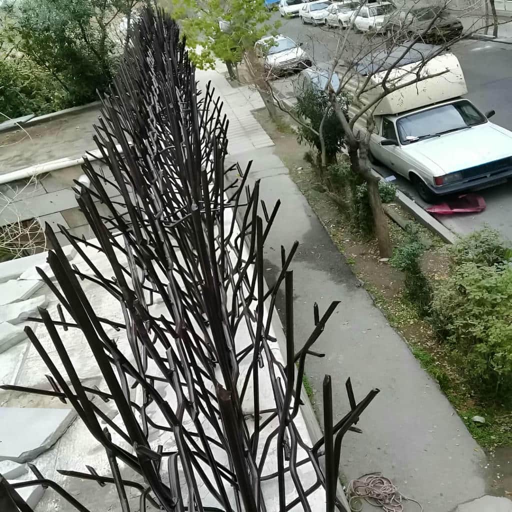 حفاظ شاخ گوزنی در رشت