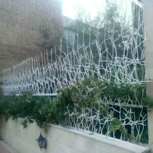 حفاظ شاخ گوزنی در استان گیلان