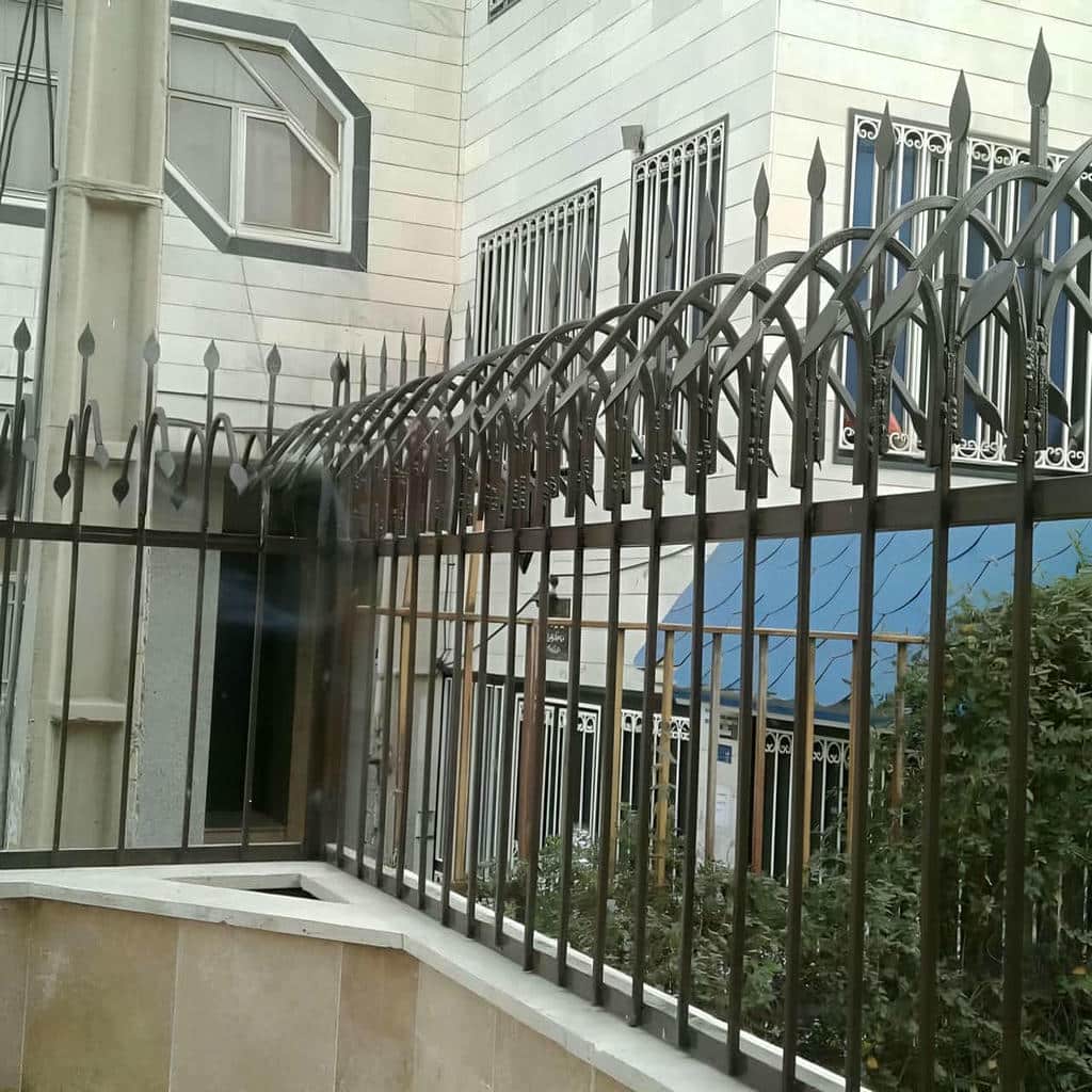 حفاظ شاخ گوزنی در ایرانشهر - تصویر 3