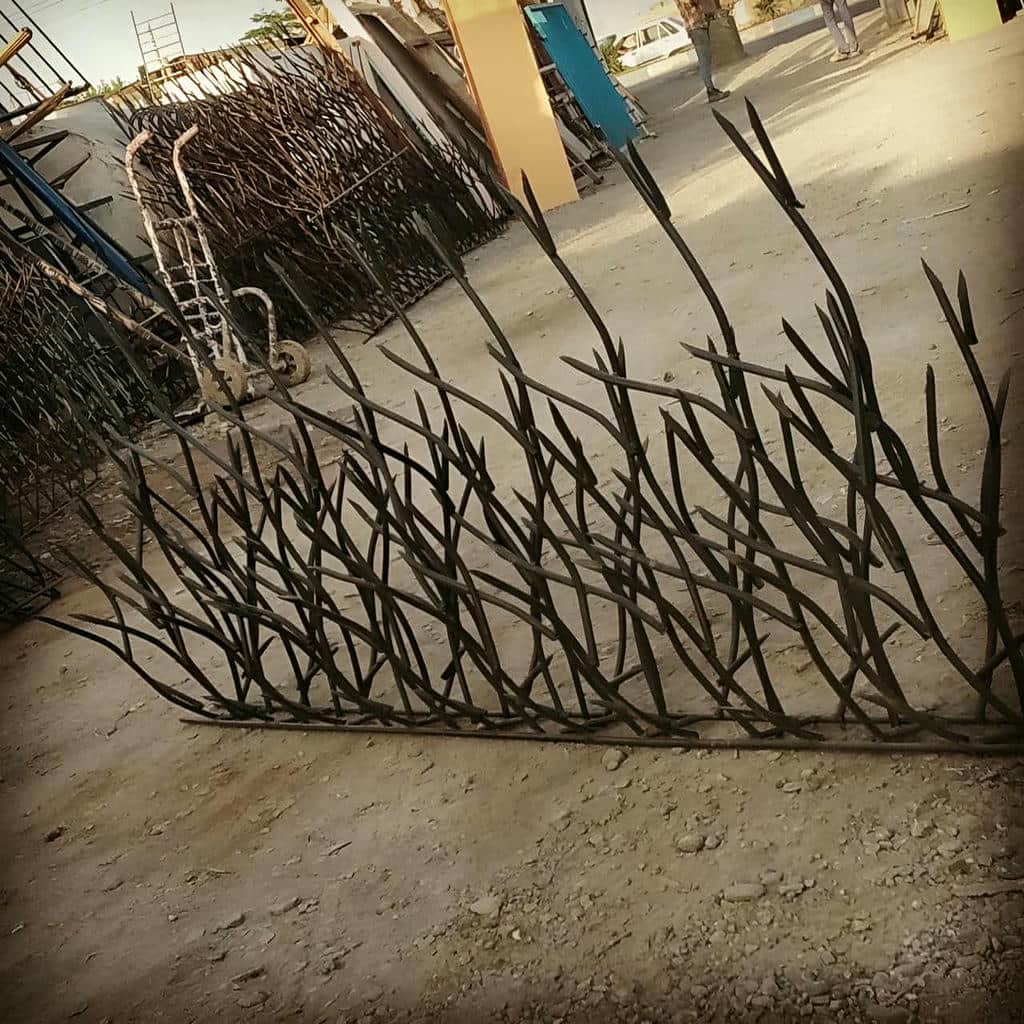 حفاظ شاخ گوزنی در نظرآباد