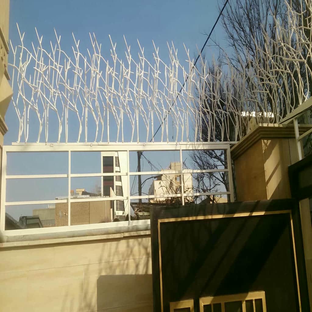 حفاظ شاخ گوزنی در آبادان - تصویر 3
