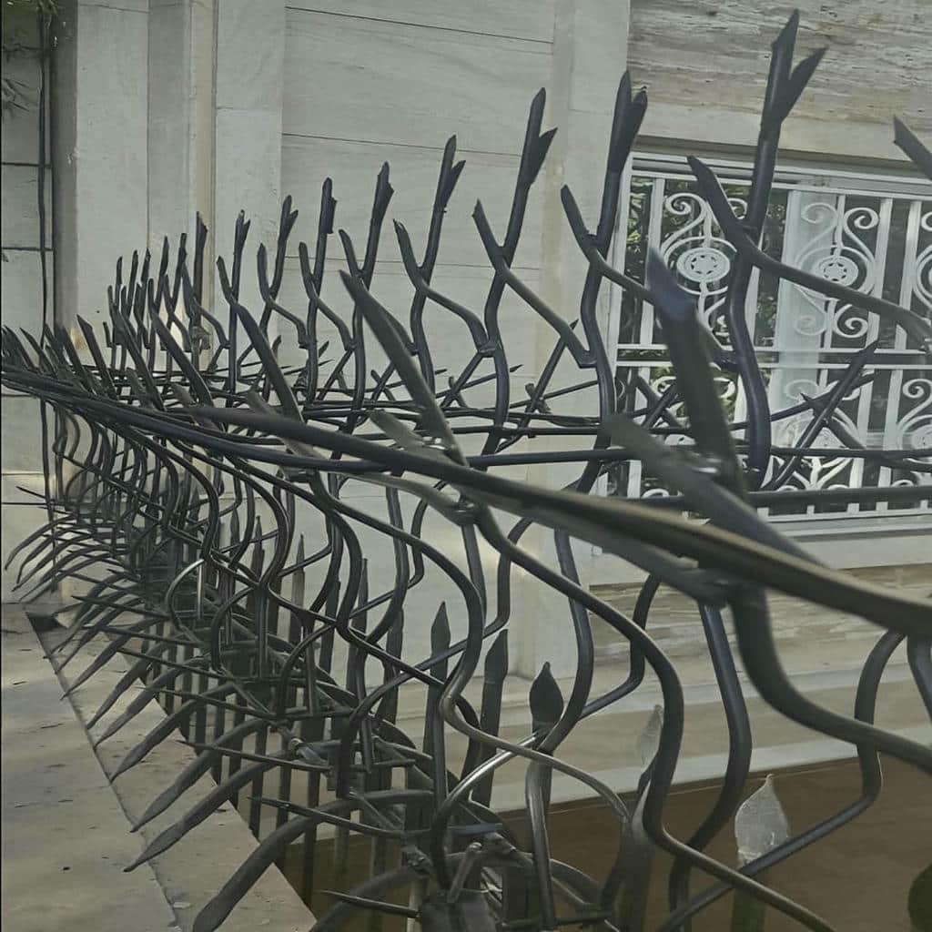 حفاظ شاخ گوزنی در نظرآباد