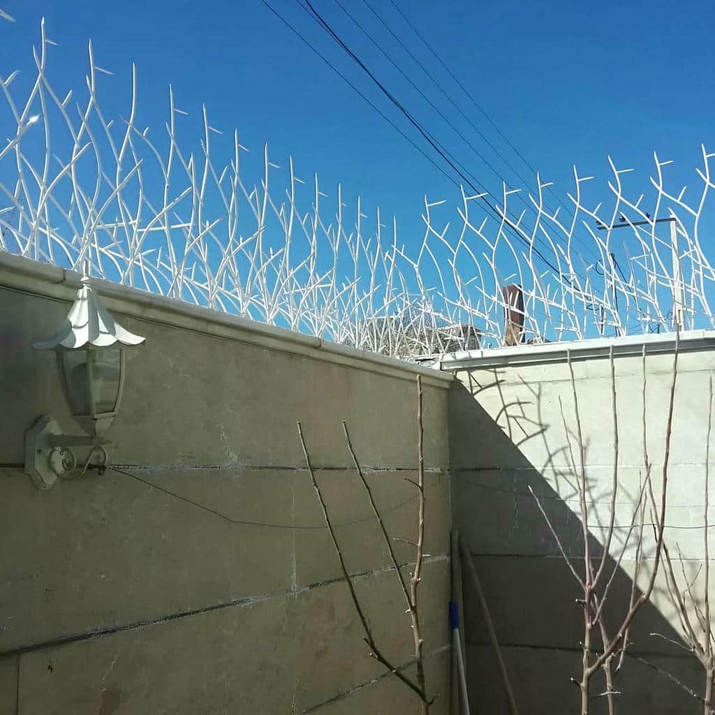 حفاظ شاخ گوزنی در نسیم شهر