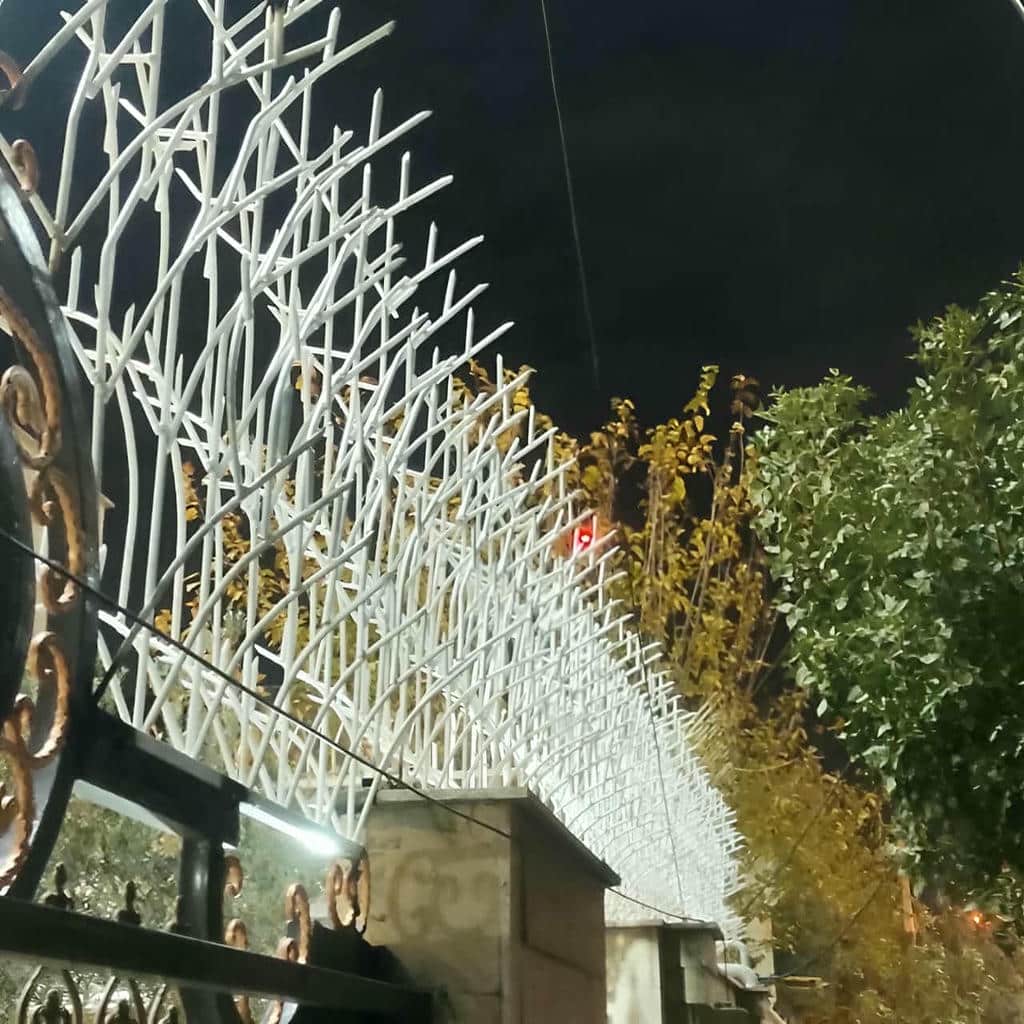 حفاظ شاخ گوزنی در مشهد