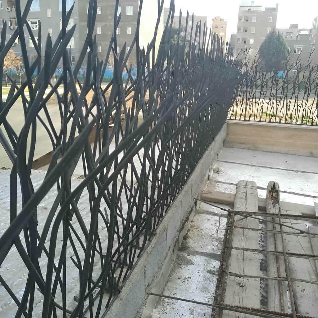 حفاظ شاخ گوزنی در قائمشهر حفاظ شاخ گوزنی در قائمشهر