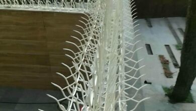 حفاظ شاخ گوزنی در پردیس