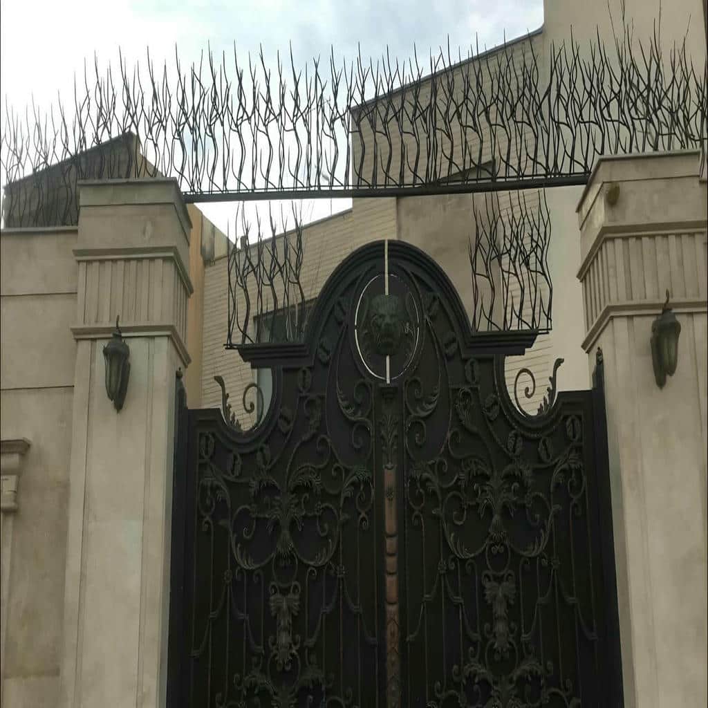 حفاظ شاخ گوزنی در همدان